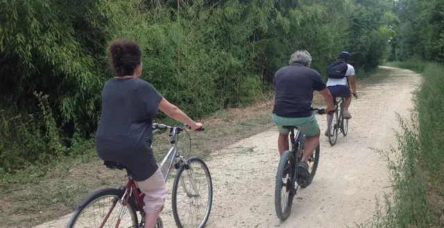 photo  la bambouseraie des coteaux, un petit côté exotique.  &copy;  le maine libre 
