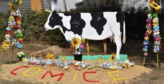 photo  les décorations sont en place à savigné-l’évêque (sarthe). la commune accueille 180 exposants pour le comice agricole, samedi 3 et dimanche 4 septembre 2022.  &copy;  ouest-france 