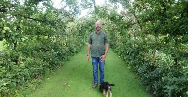 photo  guillaume henrion et thymus, son border terrier, sous une tonnelle de pommiers créées avec les croqueurs de pommes, une association sarthoise.  &copy;  ouest-france 