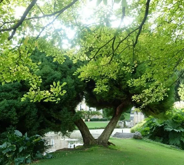 photo plus de trente ans après son ouverture, le jardin enregistre dans les 10 000 entrées les belles années.  ©  ouest-france