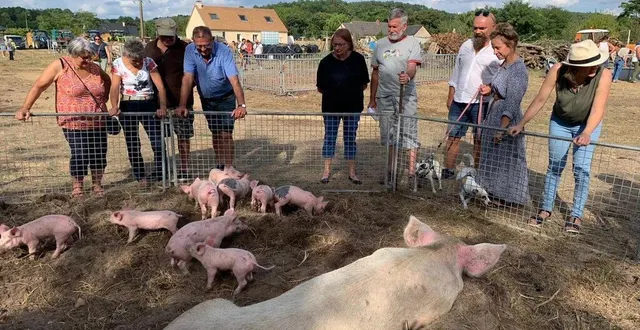 photo  le stand de la maman cochon avec sa dizaine de porcelets joueurs et drôles n’a pas désempli du week-end.  &copy;  ouest-france 