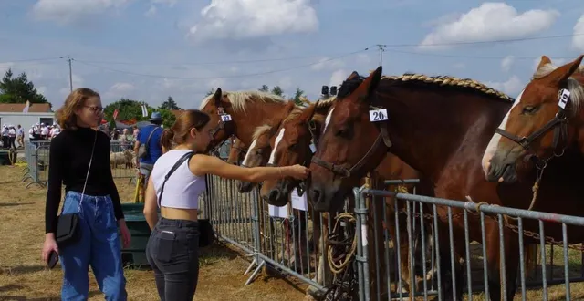 photo  le cheval est particulièrement représenté aux comices.  &copy;  le maine libre 
