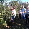 photo  la famille bineau de challain-la-potherie est venue au grand complet pour cueillir les pommes dans le verger du potager du château. 