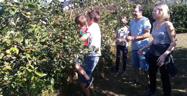 photo  la famille bineau de challain-la-potherie est venue au grand complet pour cueillir les pommes dans le verger du potager du château.  &copy;  ouest-france 