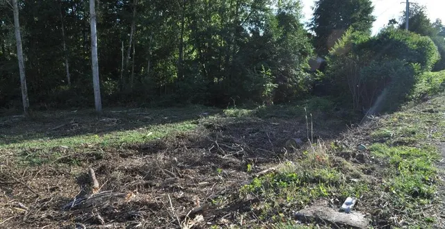 photo  dans sa course, la voiture a sectionné un poteau de signalisation.  &copy;  le maine libre 