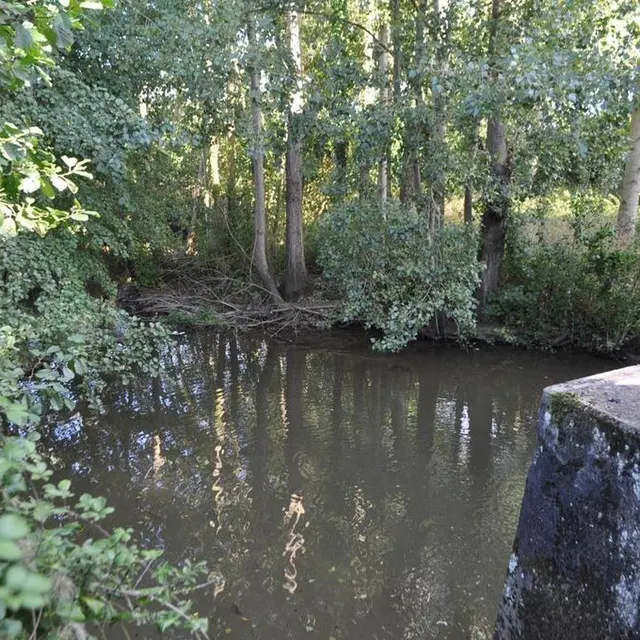 photo la rivière la taude où la voiture a fini sa course plusieurs mètres en contrebas.  ©  le maine libre
