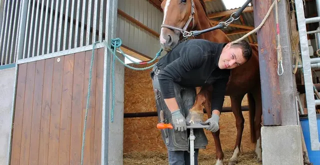 photo  vincent nail est maréchal-ferrant à son compte depuis janvier 2022, à bouessay.  &copy;  ouest-france 