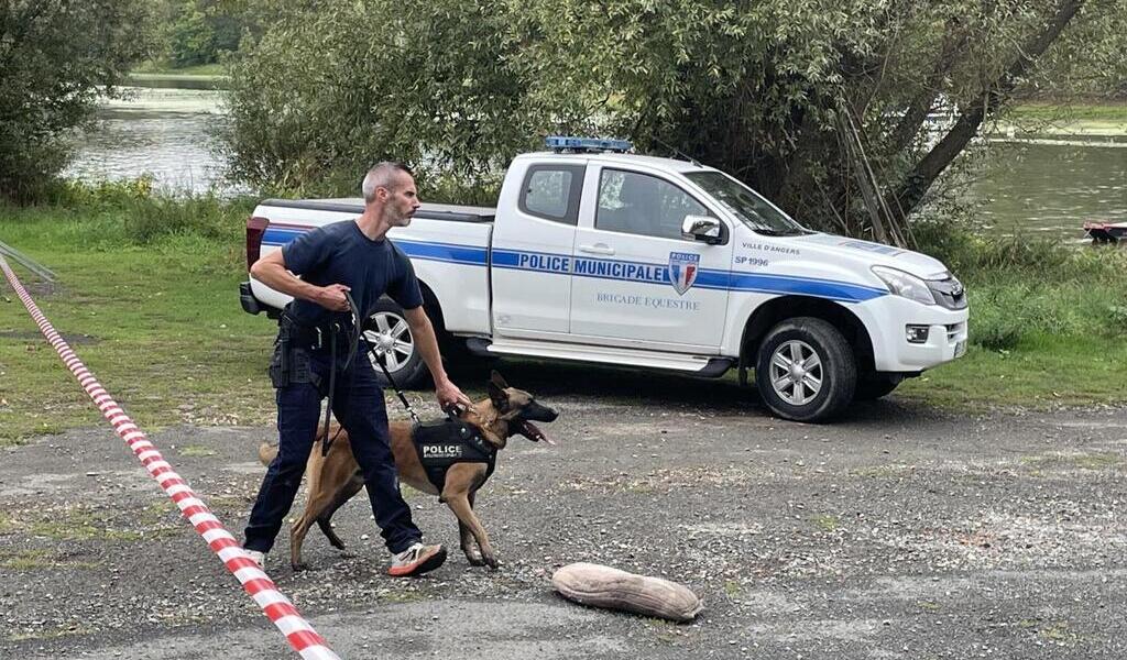 VIDEO. Les Chiens Des Polices Municipales De Plusieurs Villes S ...