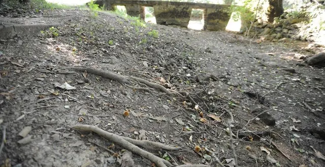 photo  depuis le printemps 2022, la sarthe connaît un épisode de sécheresse.  &copy;  photo illustration le courrier de l’ouest 