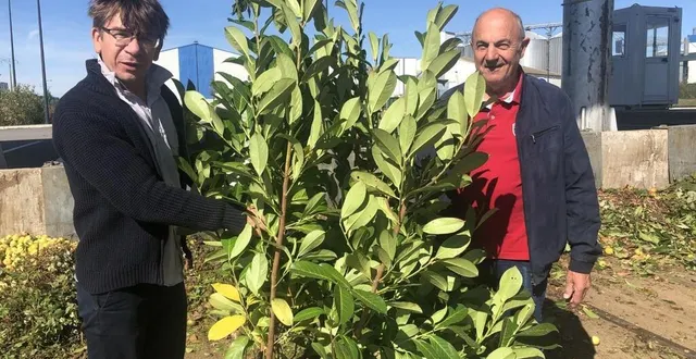 photo  chargé de communication au sitcom, arnaud potocki – ici avec alain lolivier, maire d’écouché-les-vallées – explique la mise en place du broyage de végétaux.  &copy;  ouest-france 