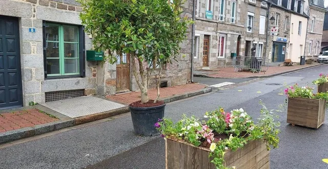 photo  la végétalisation a été l’une des attractions de l’été.  &copy;  ouest-france 