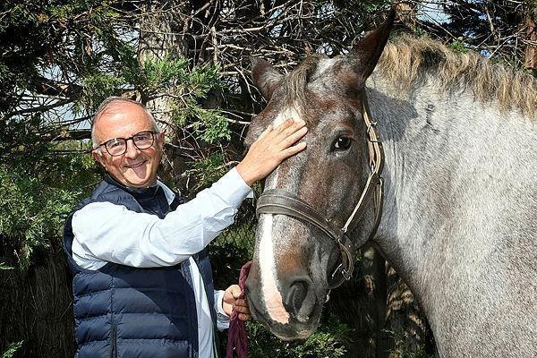 Space. Le grand retour du cheval en ville Lorient.maville