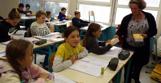 photo  isabelle berthe, conseillère départemental, a remis des dictionnaires et des chèques collège aux élèves de sixième et de troisième.  &copy;  le maine libre 