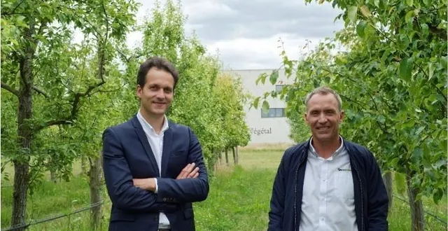 photo  de gauche à droite, alexandre olivaud, président et emmanuel pajot, directeur général, sur le verger expérimental de l’inrae d’angers.  &copy;  green impulse 