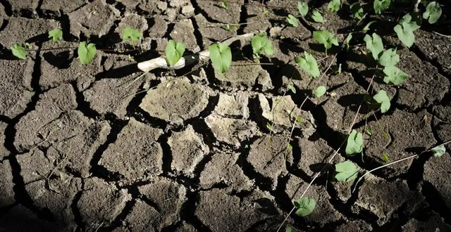 photo  un épisode de sécheresse touche la sarthe depuis la fin du printemps 2022.  &copy;  le courrier de l’ouest 