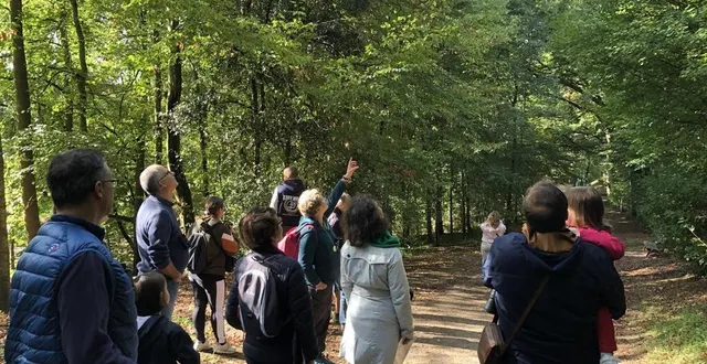 photo  karine lefevre (au centre, le doigt levé) de la ligue de protection des oiseaux, a tenu en haleine près de vingt participants.  &copy;  ouest-france 