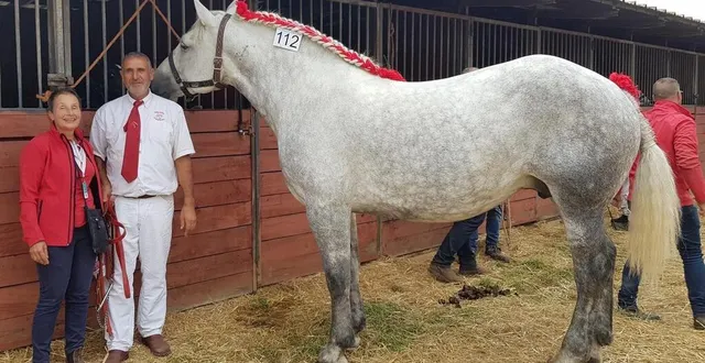 photo  catherine et raphaël breton, avec leur pouliche kaleos de theuret.  &copy;  le maine libre 