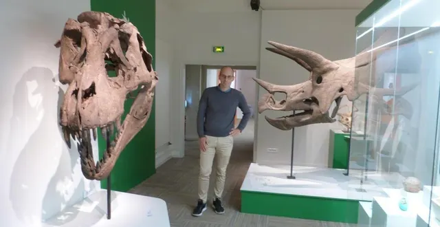 photo  nicolas morel, commissaire de l’exposition, et les crânes d’un tyrex et d’un tricératops  &copy;  ouest-france 