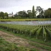 photo  le domaine château belmar, est entré dans les meilleurs crus 2019 des pays de la loire. 