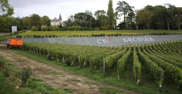photo  le domaine château belmar, est entré dans les meilleurs crus 2019 des pays de la loire.  &copy;  le maine libre 