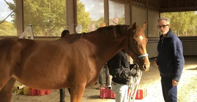 photo  thierry lhermitte donne un stage d’éthologie au pôle international du cheval de deauville (calvados), samedi 1er et dimanche 2 octobre. dimanche, il sera en conférence aux franciscaines sur l’éthologie.  &copy;  ouest-france 