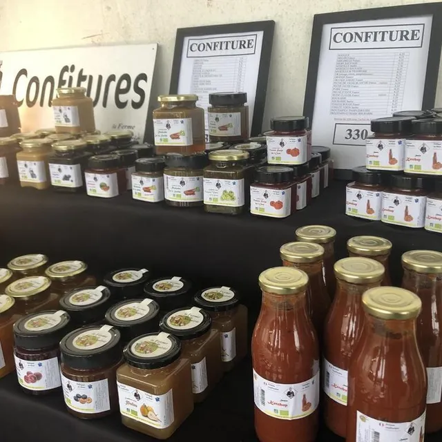 photo en plus de son ketchup bio, amélie corvaisier aimerait également développer la compote. actuellement, quatre choix sont proposés : poire, pomme, coing et rhubarbe.  ©  ouest-france