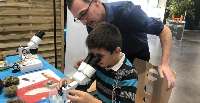 photo  aurélien et son fils gaëtan utilisent le microscope pour voir les détails d’une plume d’oiseau.  &copy;  ouest-france 