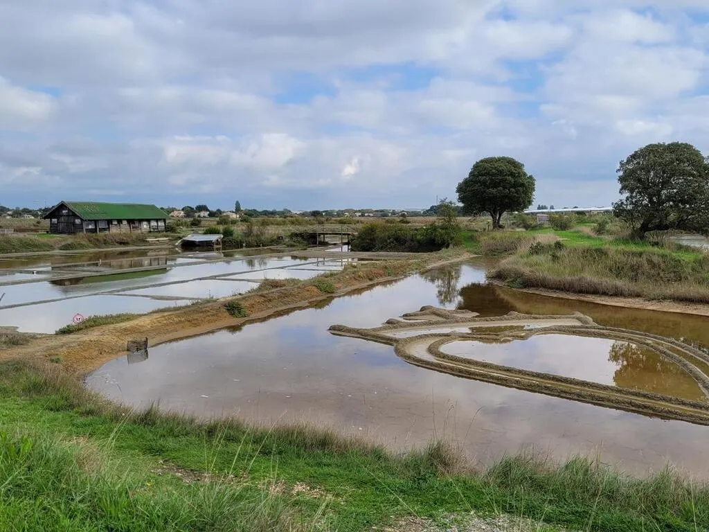 En Vendée, quel est l’intérêt scientifique du carbone contenu dans les