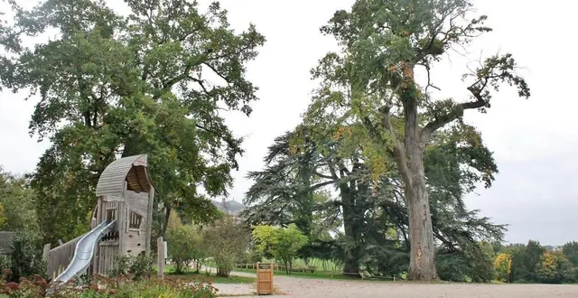 photo  c’est le grand chêne à droite, qui surplombe l’aire de jeux et la prairie du château, qui va être abattu vendredi 14 octobre 2022.  &copy;  ouest-france 