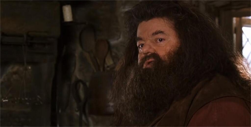 Robbie Coltrane, L’acteur Qui Incarnait Hagrid Dans « Harry Potter ...