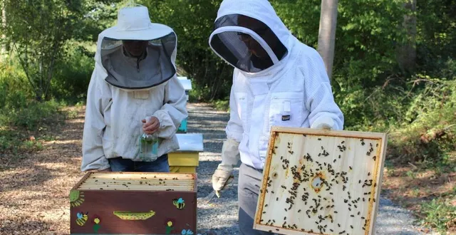 photo  l’association a installé un rucher pédagogique à saint-pavace constitué d’une douzaine de ruches?, sur un terrain mis à disposition par la municipalité.  &copy;  le maine libre 