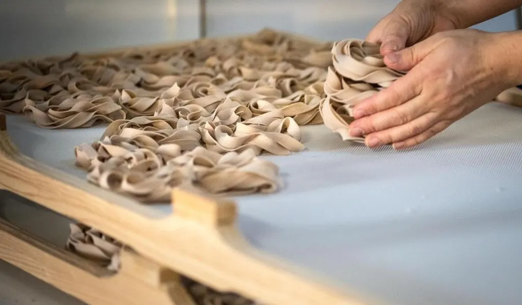 REPORTAGE. Rozenn et tagliatelles ses pâtes bretonnes fabriquées dans