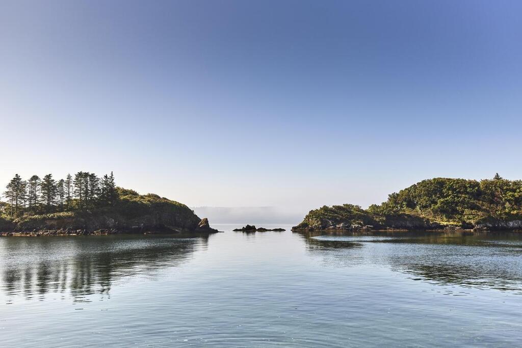 L'écosystème du bassin