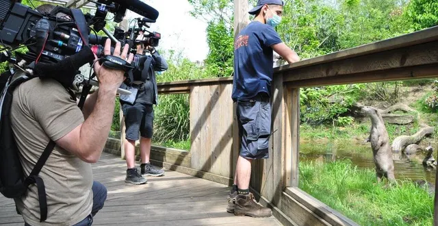photo  les équipes de banijay productions et le zoo de la flèche ont lancé la version pour youtube en mai 2022. le dernier épisode a été diffusé le 2 septembre.  &copy;  archives le maine libre 