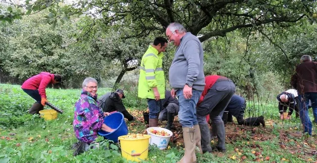 photo  plus de quatre tonnes de pommes, destinées à la première production de cidre de l’association, ont été récoltées samedi 15 octobre 2022 par une trentaine de bénévoles.  &copy;  ouest-france 