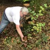 photo ancinnes, mercredi 19 octobre 2022. jean-claude, de gesnes-le-gandelin, apprécie ces balades en forêt mais ne cueille que les champignons qu’il connaît.
