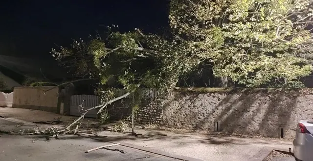 photo  à savigné-l’évêque, dimanche soir, de grosses branches tombées sur les chaussées en raison des fortes rafales de vent qui ont secoué la sarthe.  &copy;  témoin 