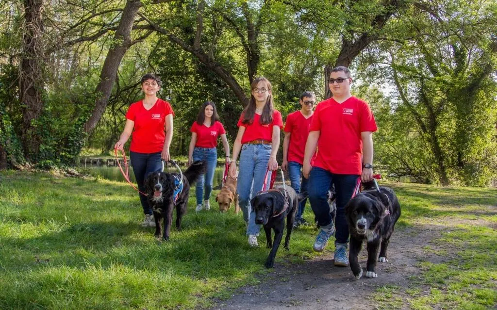 SaintGrégoire. Une collecte solidaire chez Maxi Zoo
