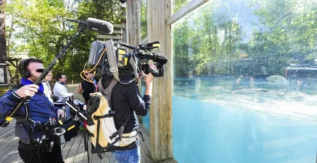 photo  france 4 a diffusé quatorze saisons et 772 épisodes qui attiraient chaque soir en moyenne 450 000 téléspectateurs.  &copy;  archive le maine libre hervé petitbon 