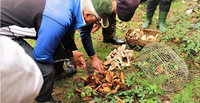 photo  après la cueillette, place au tri.  &copy;  ouest-france 