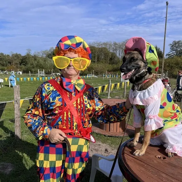photo roger et réglisse, malinois de 2 ans.  ©  ouest-france