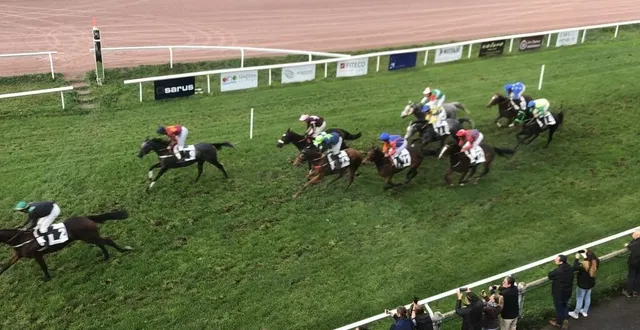 photo  tout en haut du bâtiment, les commissaires ont une vue plongeante et panoramique sur l’ensemble des 1 600 m de piste de l’hippodrome d’argentan (orne).  &copy;  ouest-france 