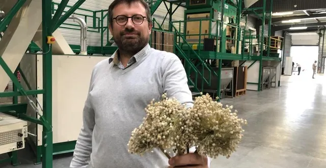 photo  longué-jumelles, zone anjou actiparc, vendredi 28 octobre. jacques blécon, responsable du site, présente une inflorescence de poireaux d’où sont extraites les graines.  &copy;  co – benoit rochard 