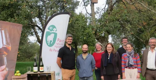 photo  le parc naturel du perche est fédérateur pour protéger la chouette chevêche.  &copy;  ouest-france 