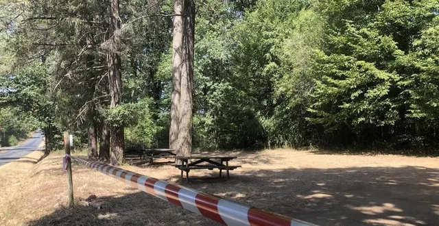 photo  le corps avait été découvert ?par des promeneurs, le 26 octobre, en forêt de mervent.  &copy;  ouest-france 