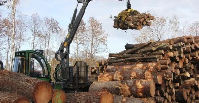 photo  ces billes de bois brûlé seront transformées en pellets pour poêle à bois.  &copy;  photo : ouest-france 