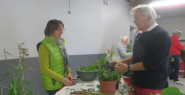 photo  christian riou et liliane pellard ont échangé des végétaux.  &copy;  ouest-france 