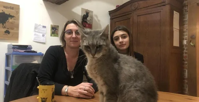 photo  cocci a retrouvé, jeudi 3 novembre 2022, son nouveau domicile, avec ses maîtres, margot, laëtitia et tom.  &copy;  ouest-france 