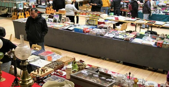 photo  ce sont plus de 35 exposants collectionneurs qui étaient présents à la salle polyvalente pour la 37e édition.  &copy;  le maine libre 