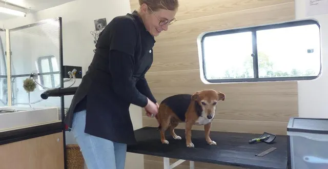 photo  dans son camion spécialement aménagé, séverine goubaud profite d’un grand espace pour le toilettage des toutous  &copy;  le maine libre 